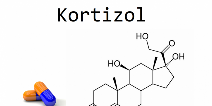 Kortizol: Hormon Pokazatelj Stresa – Poliklinika Artemeda