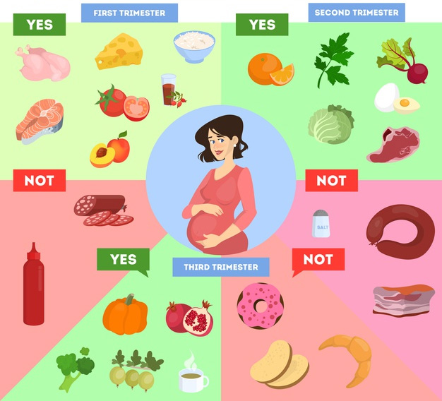 Uravnotežena prehrana u trudnoći