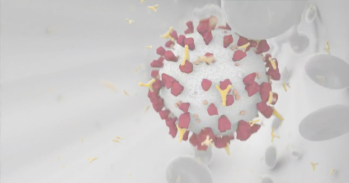 Imunitet nakon infekcije korona virusom