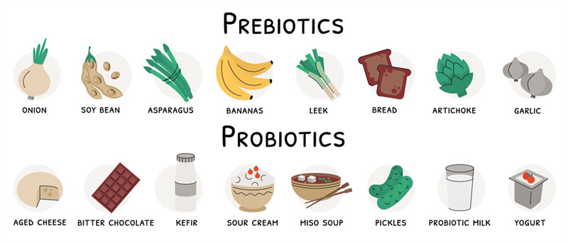 Prebiotici i probiotici