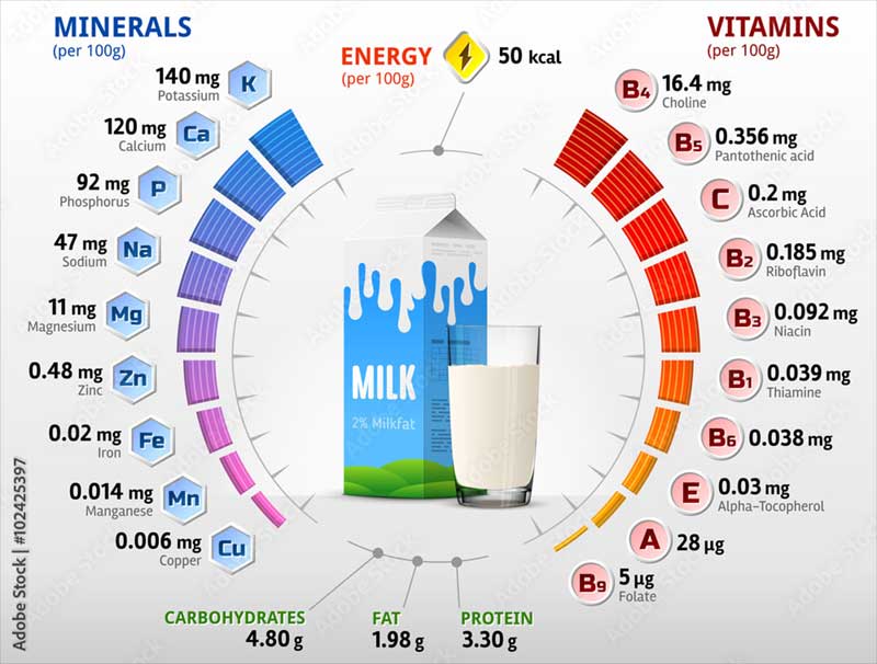 Vitamini i minerali u majčinom mlijeku